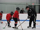 Young Vipers Program - working on stickhandling