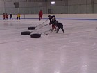 tire pulls at skills