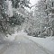 Snow Cancellations