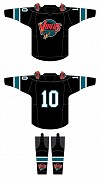 HALF SEASON: (1) GAME JERSEY & (1) GAME SOCKS