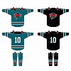 FULL SEASON: (2) GAME JERSEYS & (2) GAME SOCKS